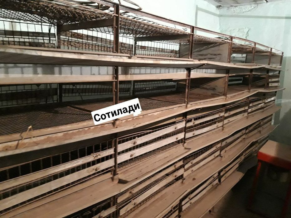 Inkubator sotiladi kafolati bilan.   Egg box 1000