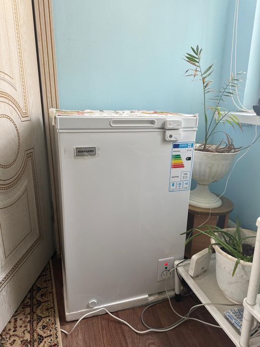 Будильник морозильник