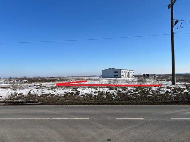 Teren intravilan 2000 mp  Dascălu (Ilfov), deschidere27 metri la DJ200