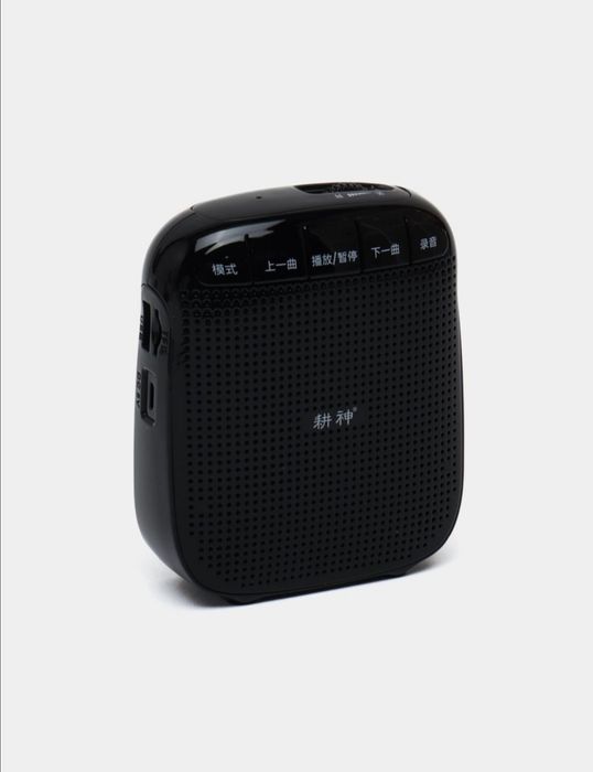 Колонка с микрофоном для гидов, аккамуляторная колонка с микрофоном