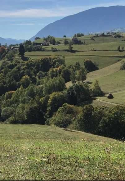 Teren intravilan construibil Poiana Marului, Brasov