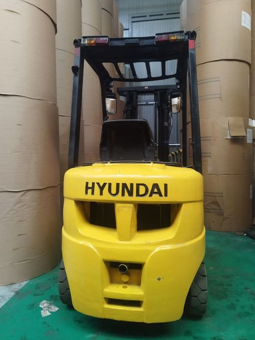 Kar Hundai yili 2010