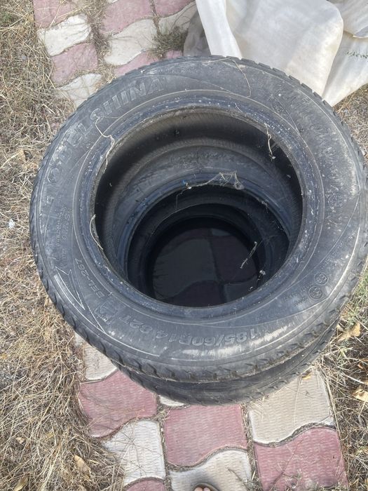 Продам шины  belshina 14R