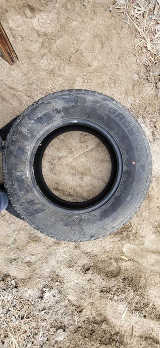 Қысқы балон Корейски