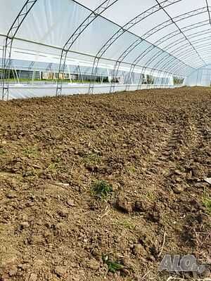 Оранжерии и открити площи под наем Варна с. Куманово 80лв./мес.