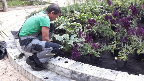 Садовник Посадка, пересадка деревьев растения цветы кучат экиш хизмати