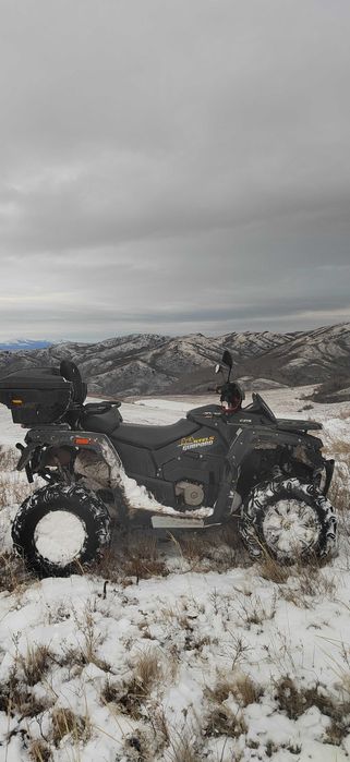 Квадроцикл Stels geupard 800