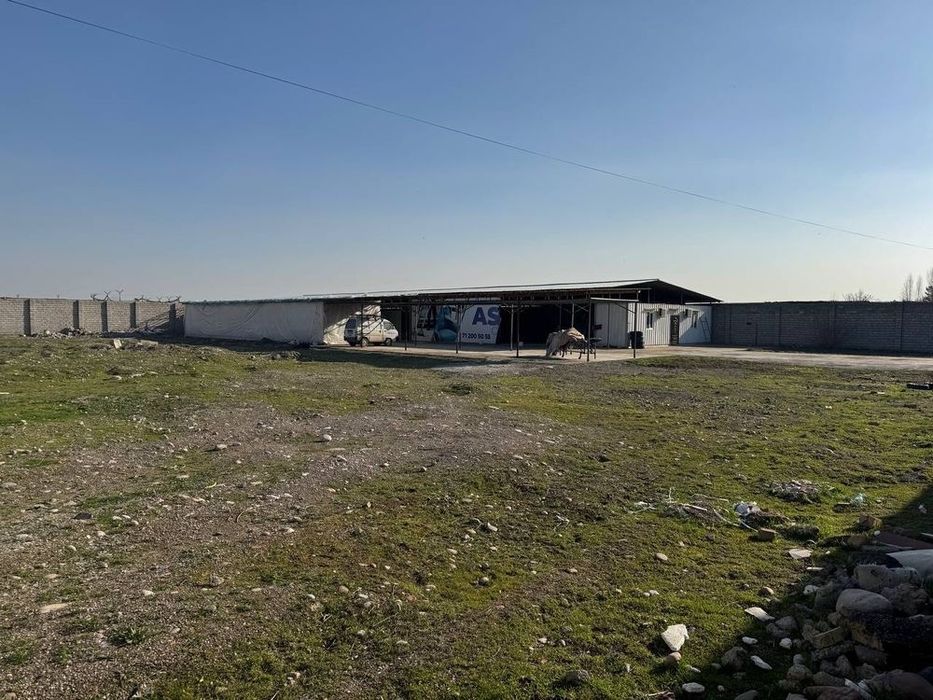 Аренда га курук йер  aredna yer  янги узбекистон