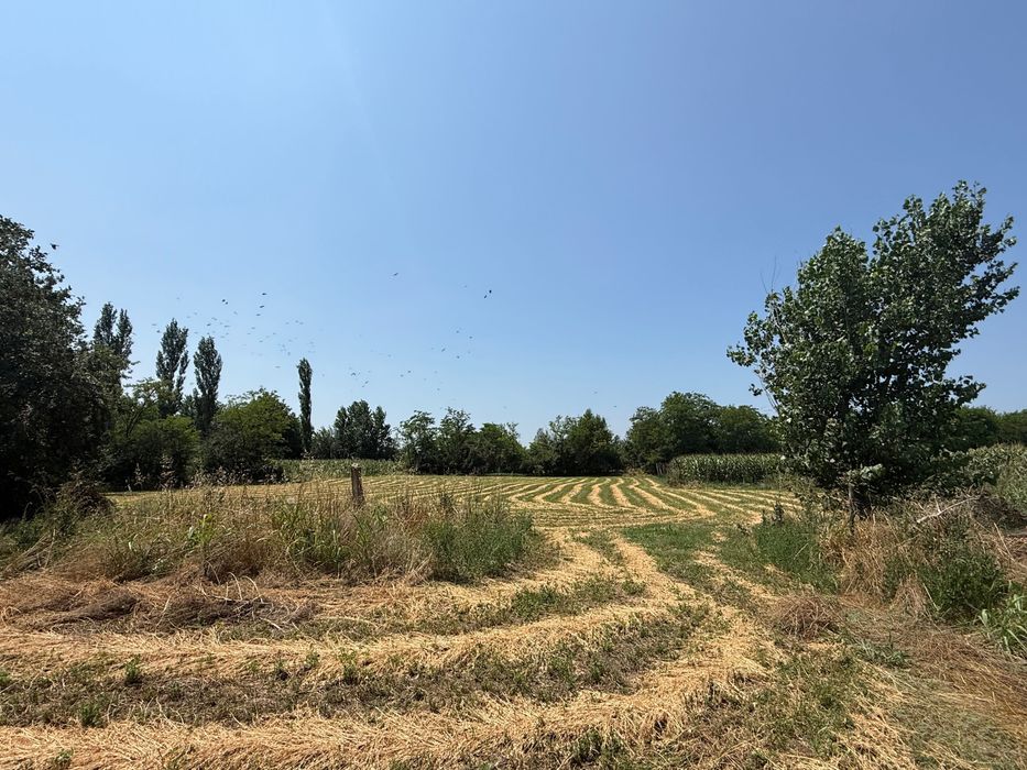 Teren intravilan + casă de vânzare