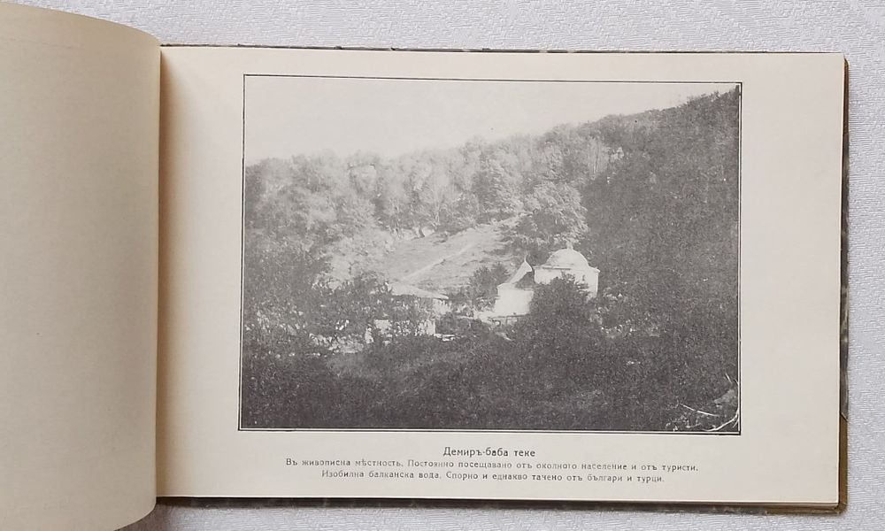 Дали - Ормана в картини. Фотографически снимки