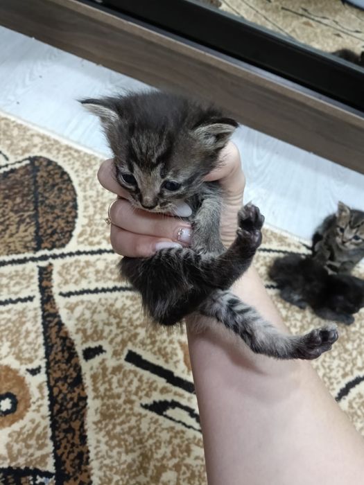 Нечего не надо .