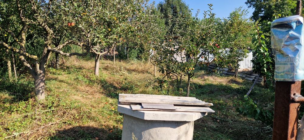 OFERTA.Casa de vanzare in sat Soci, comuna Miroslovesti, judetul Iasi