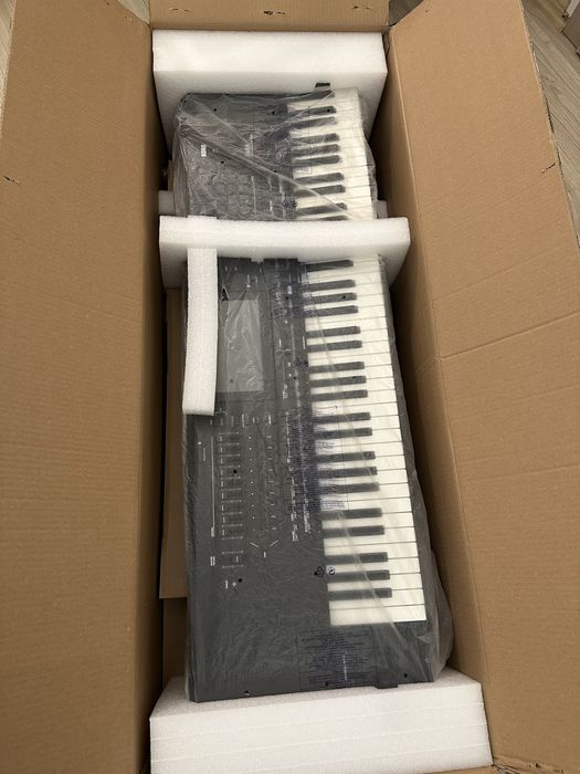 Korg pa5 x international
