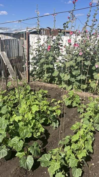 Продаётся дом в г.Аксай мкр.Кызылтал