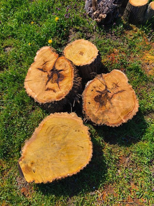 Дънери от черница