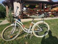 often Jacket Painting bicicleta dama Baia Mare - Anunturi gratuite