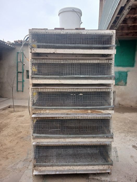 Брудер сатылады .