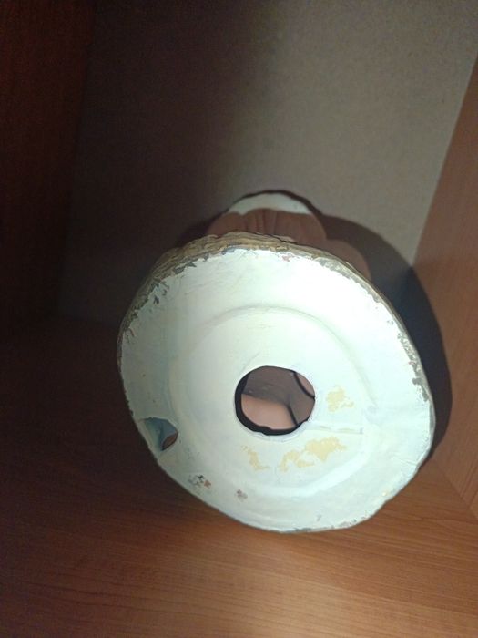 Ciuperca decorativa de gradina