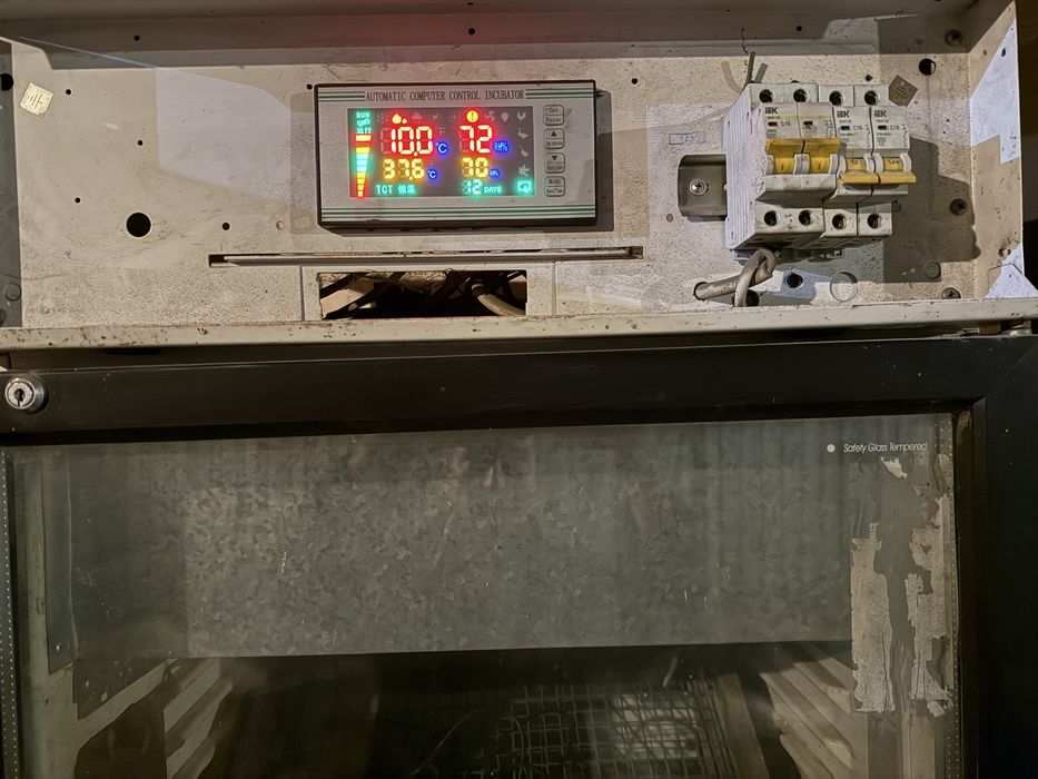 Инкубатор на 500 яиц