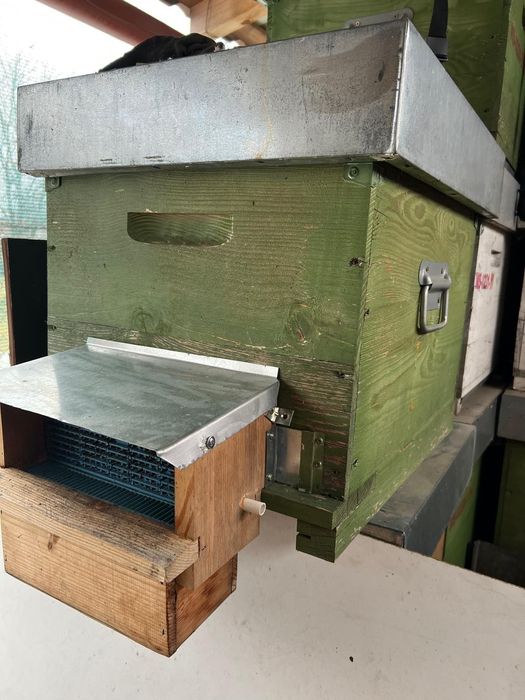 Vand stupi de albine din lemn, 10 rame, cu magazie 1/2 + accesorii