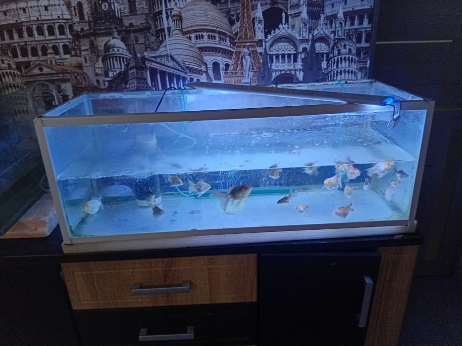 Аквариум продаётся