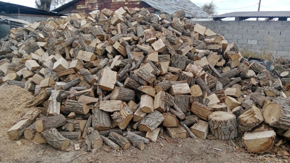 Дрова продам Карагач