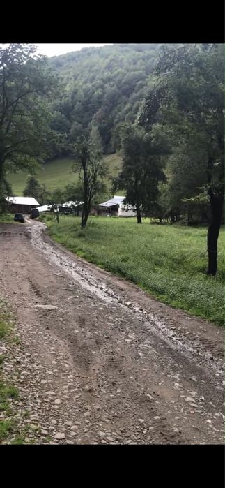 Teren intravilan 5400 mp Runc ( Zlatna)
