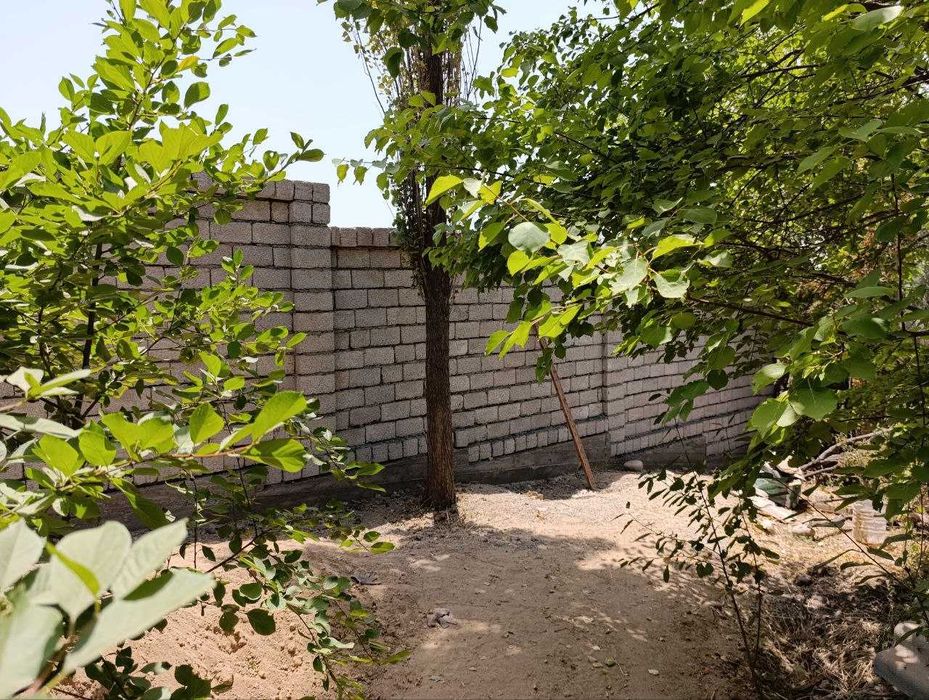 Продаю свою Дача в Навбахоре 6 соток