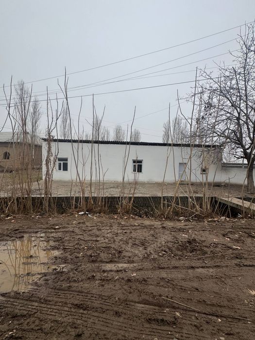 Срочно Мини ферма на Янгийул Молбозор