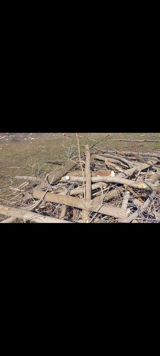 Ппродамм Дроваа.