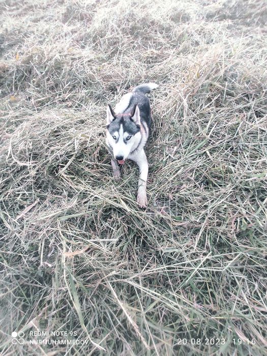 Топиб қайтармаган одамни худога солдим