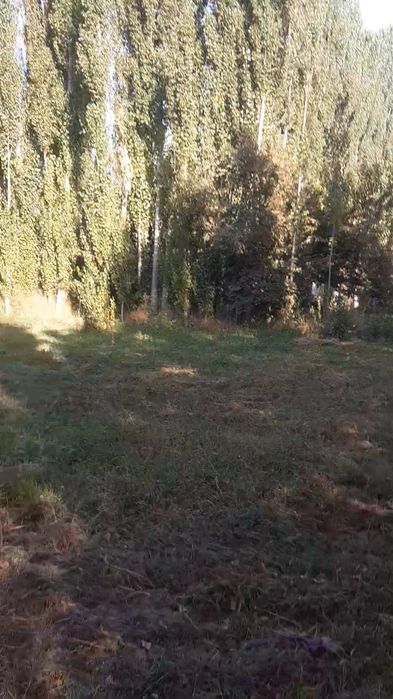 Земелный участок