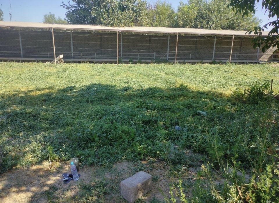 Ferma, Dalla, Dacha 70 sotih