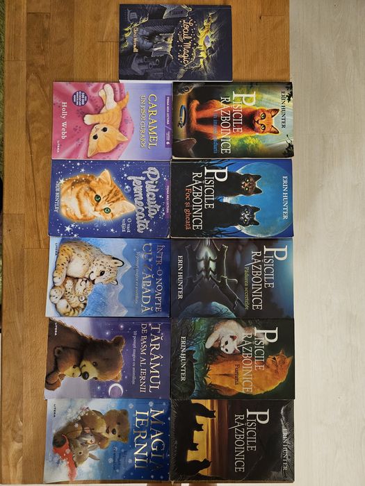 Cărți pt copii între 7 și 10 ani