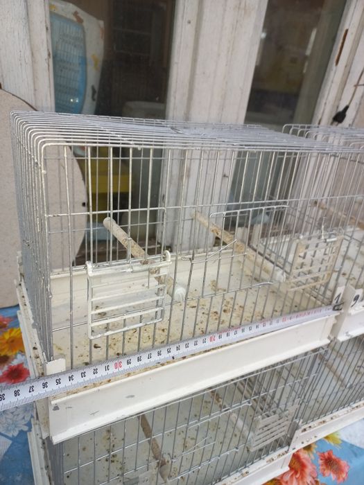 Colivii de cântec se vinde la set