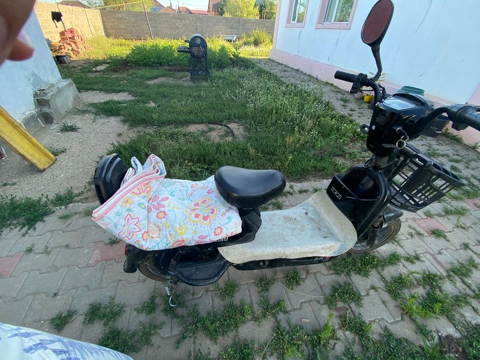 Срочна продаю  нужен денг
