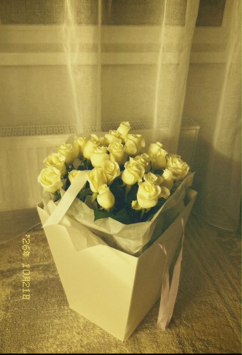 розы свежие,25шт