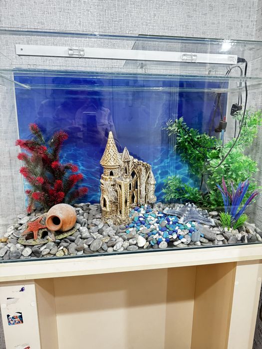 Продам аквариум в комплекте