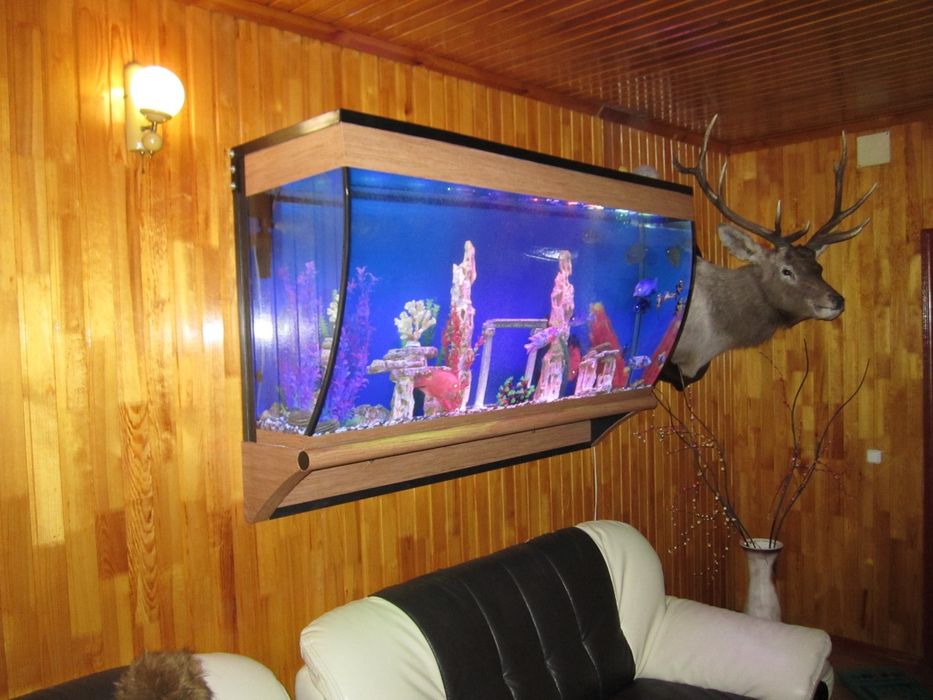 Аквариумы на заказ