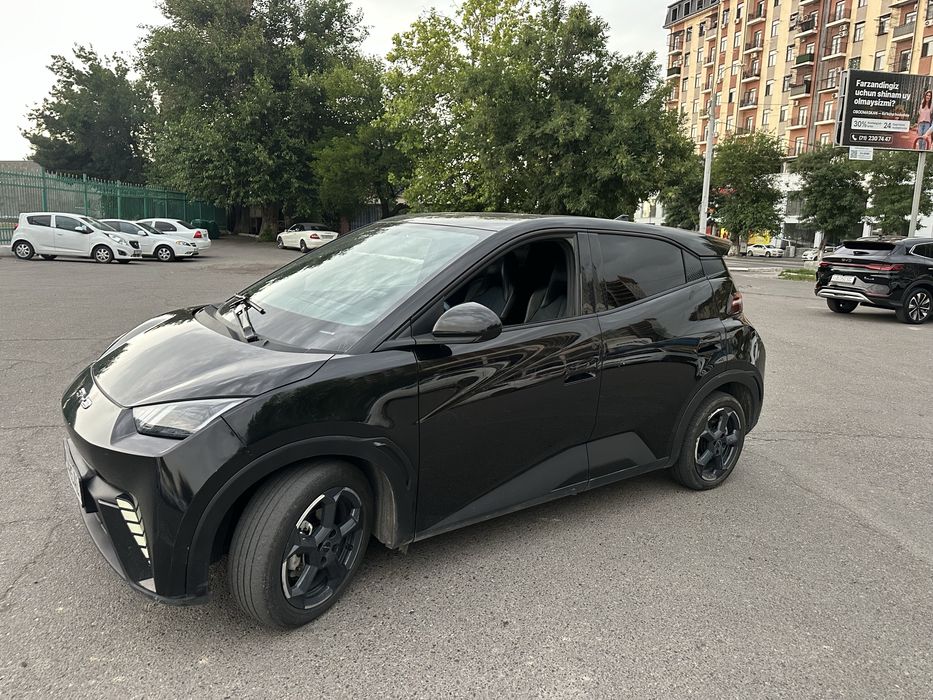 Byd Seagull 2023 yil