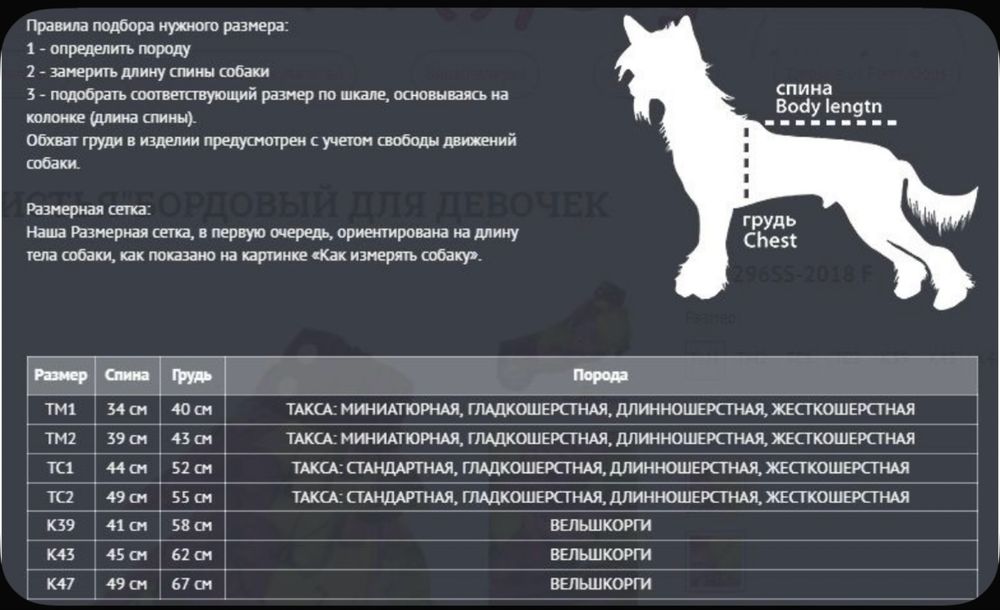 Дождевик комбенизон для таксы