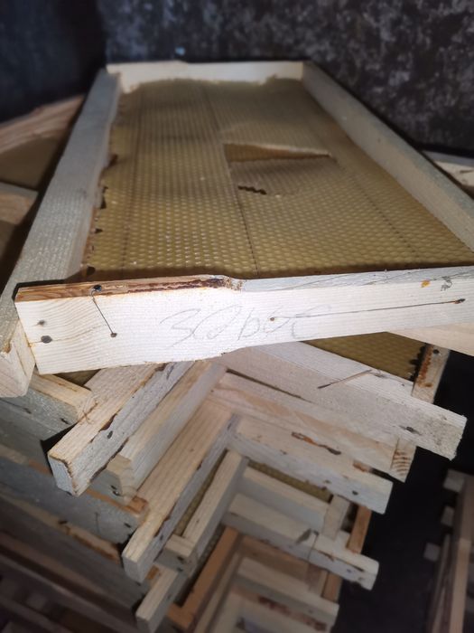 Rame 3/4  Noi Apicole