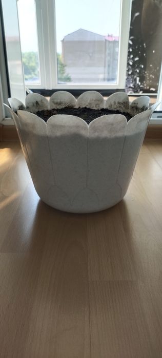 Горшок для цветов