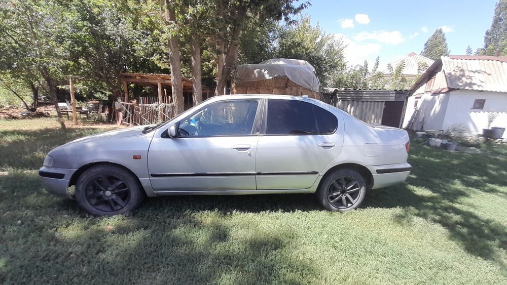 Nissan Primera Сатылады