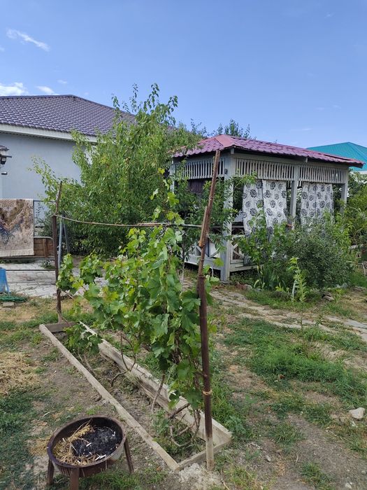 Срочно продам дом