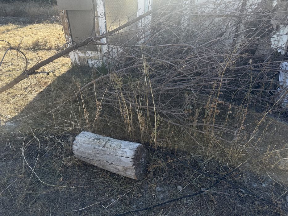 Отдам дрова бесплатно самовывоз