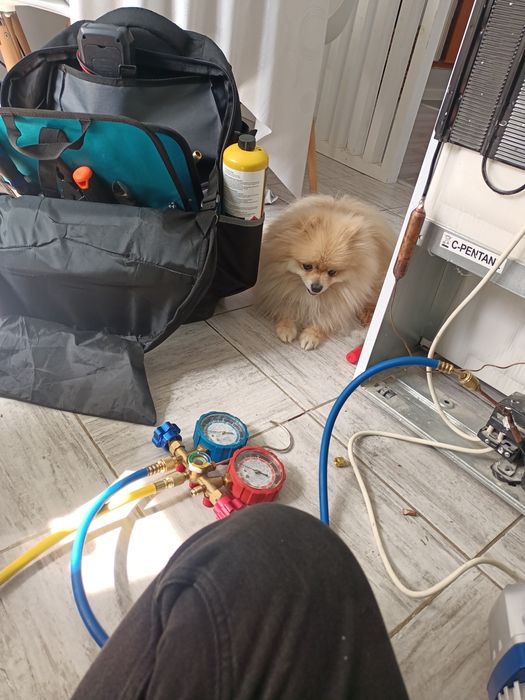 Ремонт холодильника в Астане ,не дорого