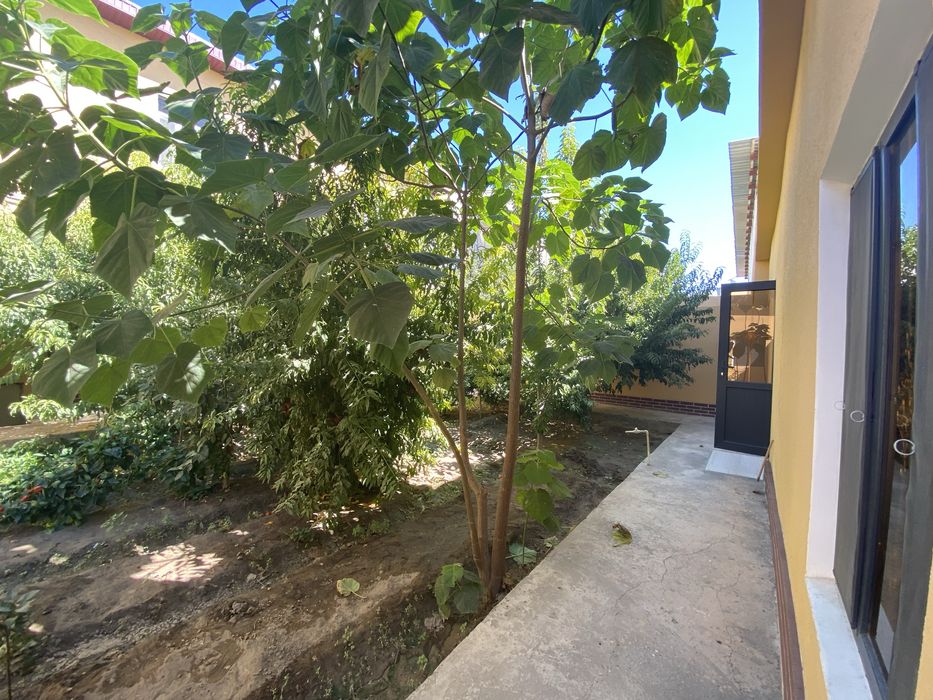 Гостиница, Мехмонхона, Hotel, Ижарага, Отель, Квартира,Urganch, Ургенч