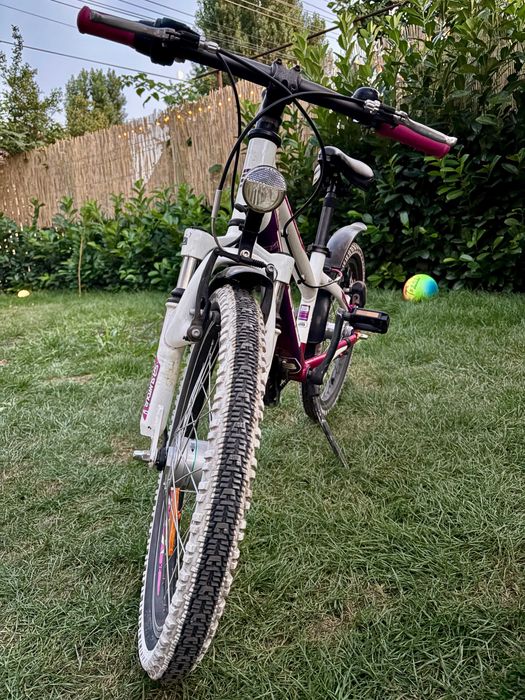 Bicicleta copii Bulls Tokee Street 20