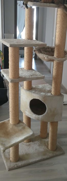 Casuta pentru pisici